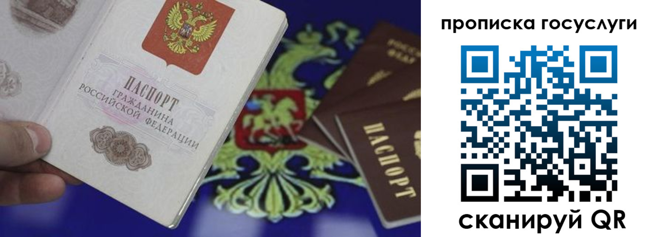 прописка для школы в Рузе